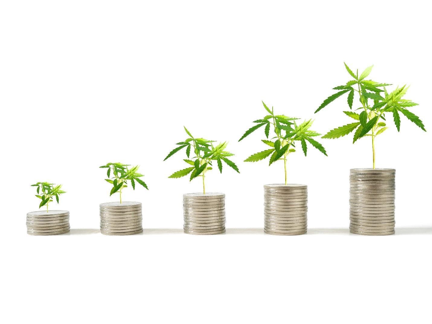 Cannabis-Business